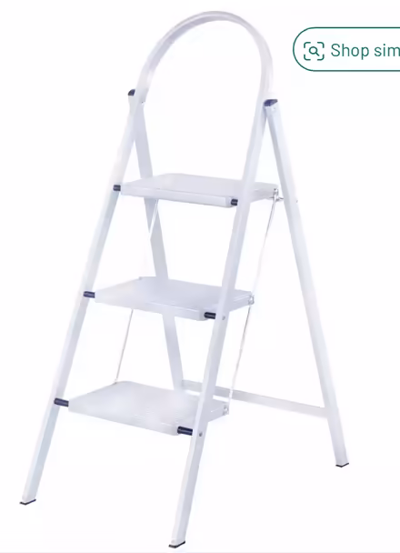 Photo of Ladder (Manor S2) #1