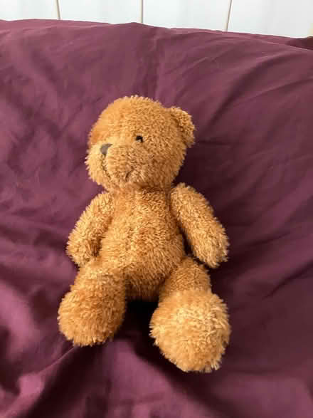Photo of free Stuffed animals (North chichester) #4