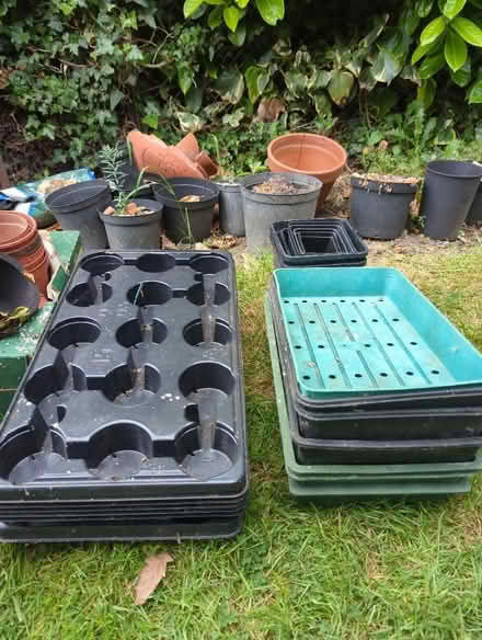 Photo of free Plant pots (Wickham Bishops CM8) #1
