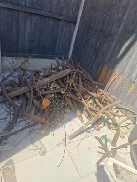Photo of free Lots of wood and branches (Ellesmere port) #1