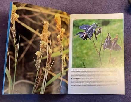 Photo of free Booklet on wild flowers (AB15) #2