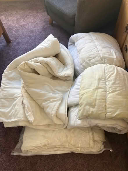 Photo of free Old duvets (Bingley BD16) #1