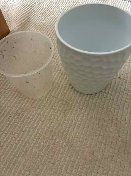 Photo of free 4 inch planter and plastic pot (Windsor Terrace) #1