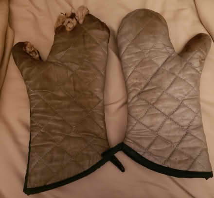 Photo of free Old Oven Mitts (Centertown) #1