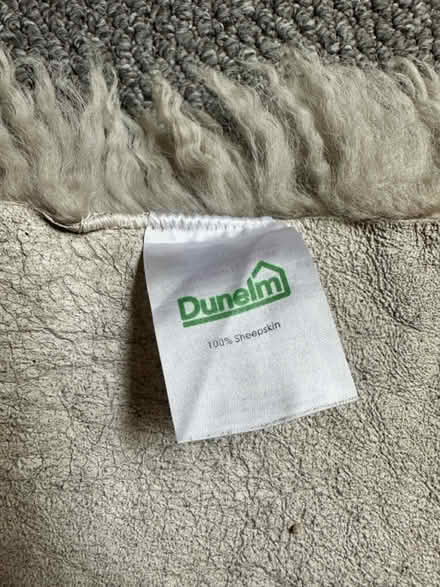 Photo of free Sheepskin Rug (So19 9ah) #4