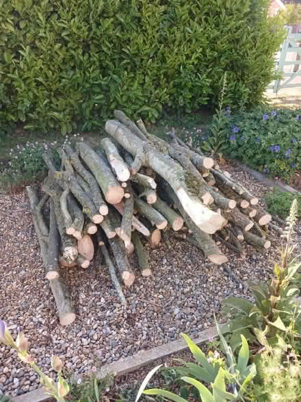 Photo of free Fire wood (Fakenham NR21) #1