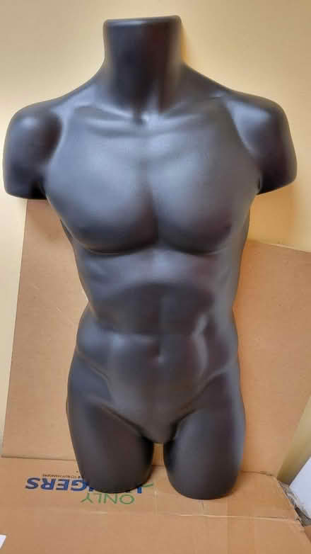 Photo of free 2 male mannequins (Tinton Falls) #1