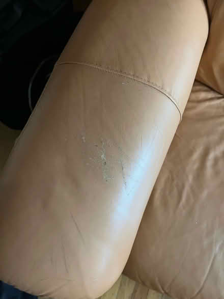 Photo of free 3 seat sofa (Cliffside Park) #3