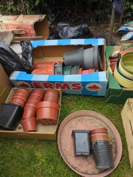 Photo of free Plant pots (Wickham Bishops CM8) #3