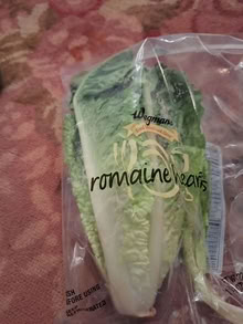 Photo of free romaine heart 20874 #1