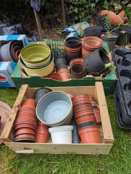 Photo of free Plant pots (Wickham Bishops CM8) #2