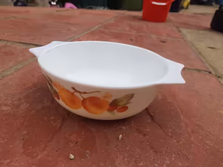 Photo of free Oven dish (Staines-upon-Thames TW18) #1