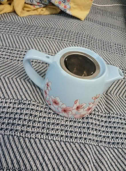Photo of free Tea Maker (Chesapeake Beach Maryland) #3