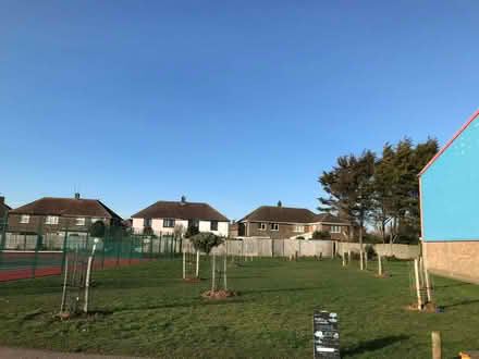 Photo of Wood chips for mulching trees in Southwick Community Orchard (Portslade by Sea BN41) #1