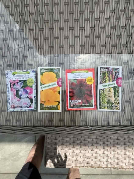 Photo of free 4 packets of seeds (Cheltenham GL51) #1