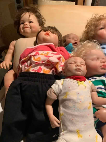 Photo of free Dolls (North Cleveland Park) #3