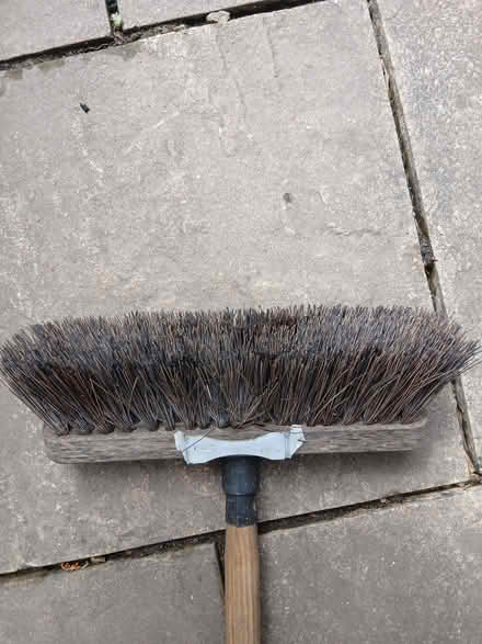 Photo of free Brush (Bear Flat) #2