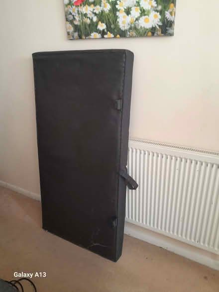 Photo of free Corner Sofa bed with Storage (Shinfield RG2) #3