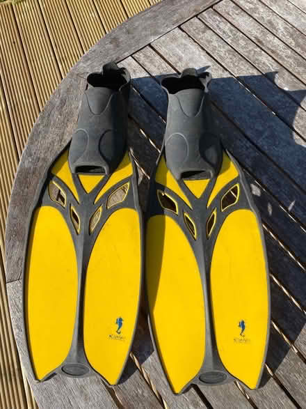 Photo of free Swimfins (AB21) #1