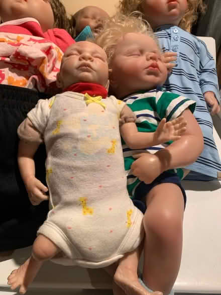 Photo of free Dolls (North Cleveland Park) #2