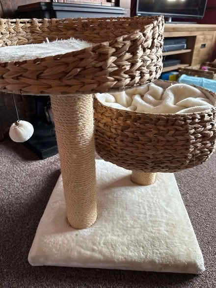 Photo of free Cat bed with scratching post (Ashford TW15) #1