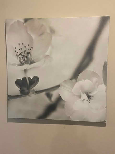 Photo of free 3 botanical prints on canvas (Ardmore) #3