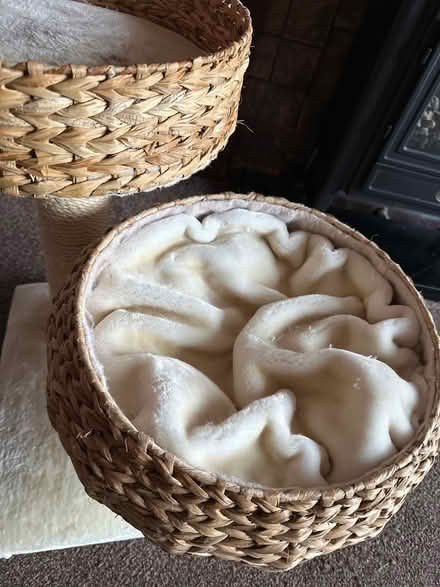 Photo of free Cat bed with scratching post (Ashford TW15) #2