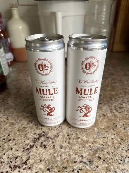 Photo of free Nonalcoholic Moscow mules (Scarsdale) #1