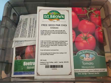 Photo of free Vegetable seeds (islington N1) #1