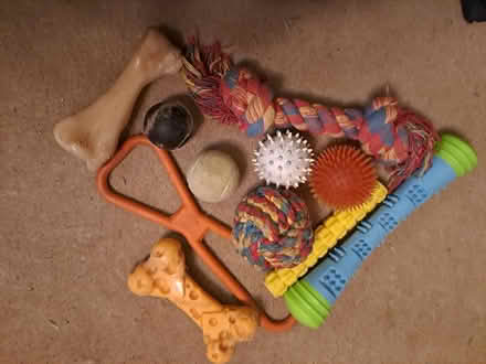 Photo of free Dog toys (Leigh Dawes Green RH2) #1