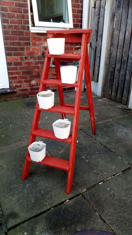 Photo of free Step Ladder Plant Stand (Fox Hill S6) #1