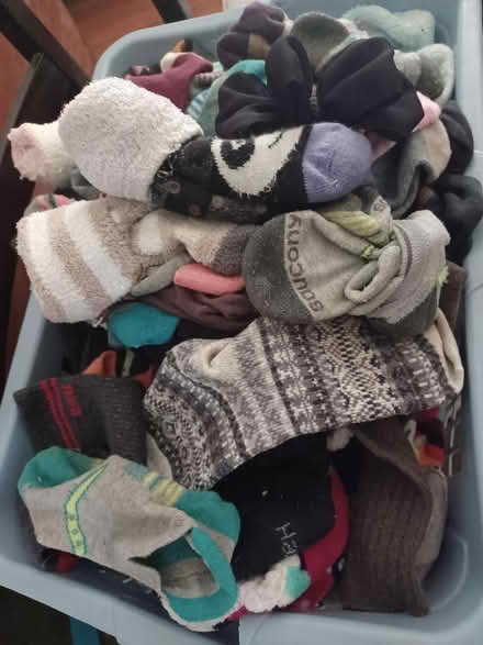 Photo of free Pile of unmatched socks (Bridalcreek/chadwyck) #2