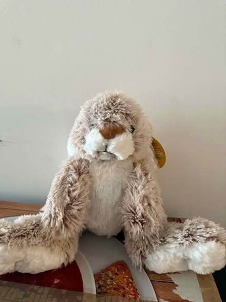 Photo of free Kids cuddly rabbit (Cardiff City Centre CF10) #1