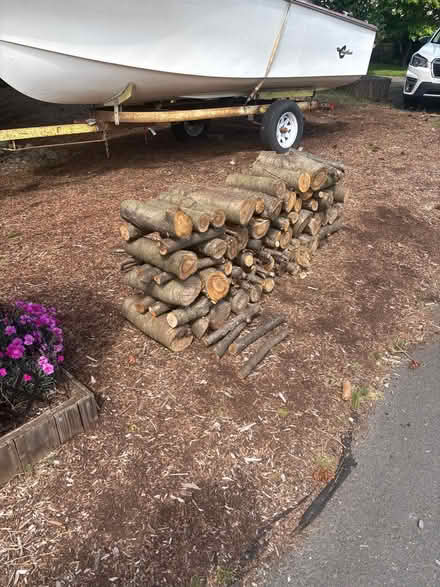 Photo of free firewood (Parkrose) #1