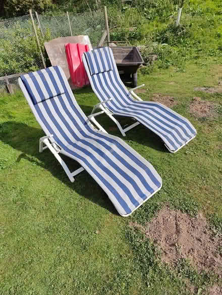 Photo of free Sun loungers (Sinderhope (NE47)) #1