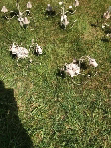 Photo of free Ceiling /wall lights (Woodchurch CH49) #3