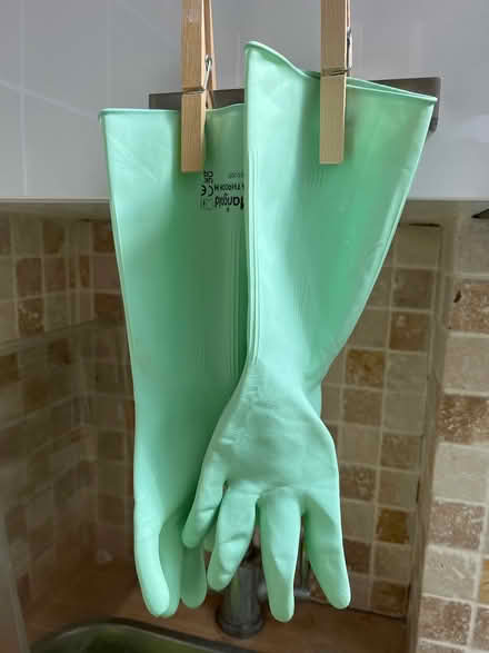 Photo of free Marigold gloves green size S (Chichester central PO19) #1