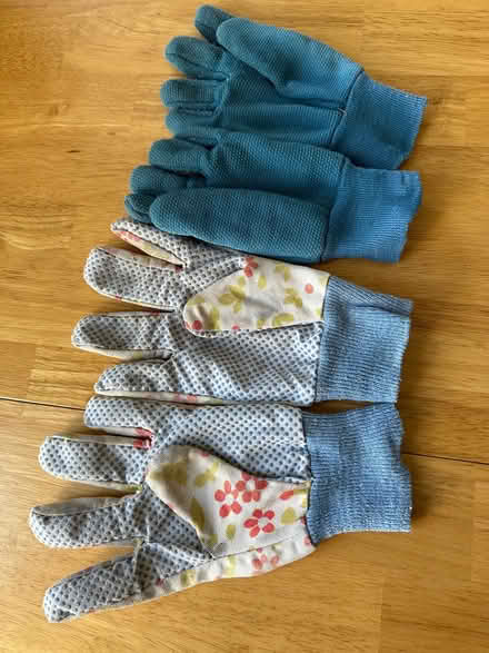 Photo of free Gardening Gloves (Maidstone ME17) #1