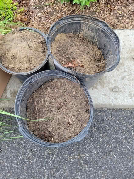 Photo of free Sand (Montreal road and St Laurent) #1
