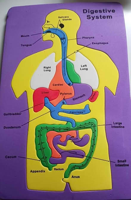 Photo of free Educational Puzzles (Must Read) (Eatontown) #1