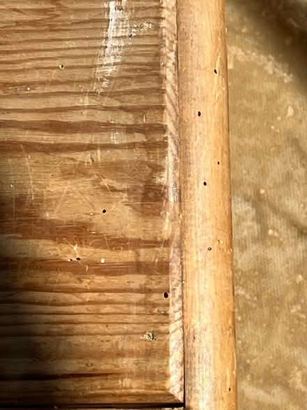 Photo of free Pine caninet (Kingsway) #4