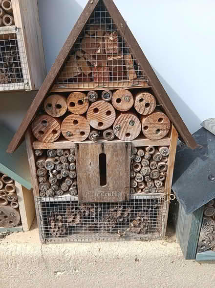 Photo of Bee house (Baildon BD17) #1