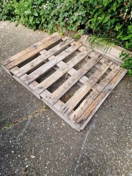 Photo of free 1 wooden pallet (Westbourne) #1