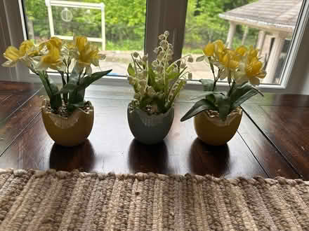 Photo of free Flower decorations (Kanata Lakes) #1