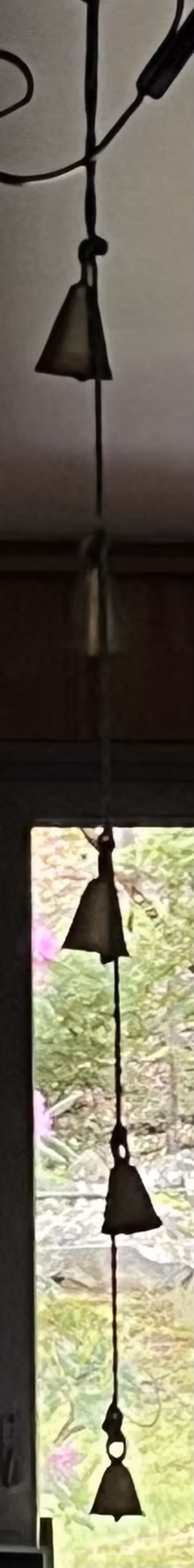 Photo of free Bells (Mohegan Lake) #1