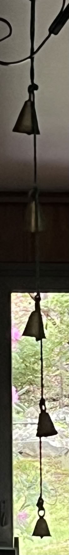 Photo of free Bells (Mohegan Lake) #1