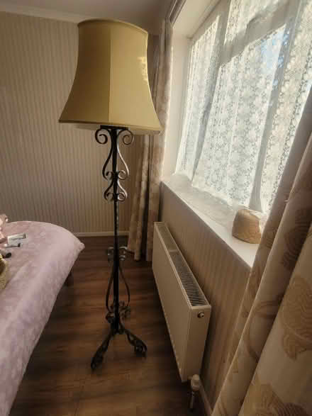 Photo of free Tall lamp, black metal frame (Morden) #3