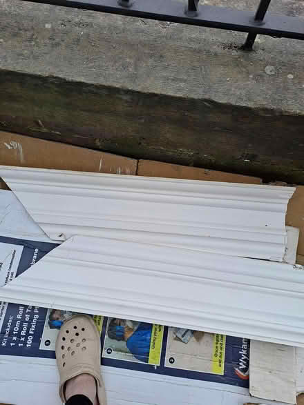 Photo of free Plaster coving (Lower Walkley S6) #1