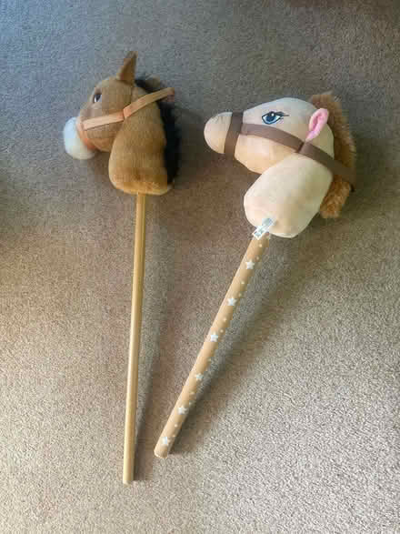 Photo of free 2 hobby horses (Harrietsham ME17) #1