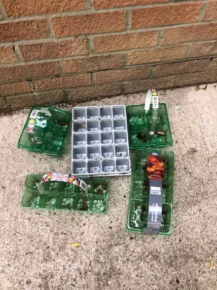 Photo of free Seed Trays (Westbury BA13) #1